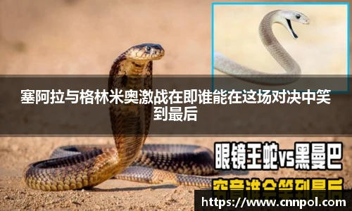 BG视讯网址